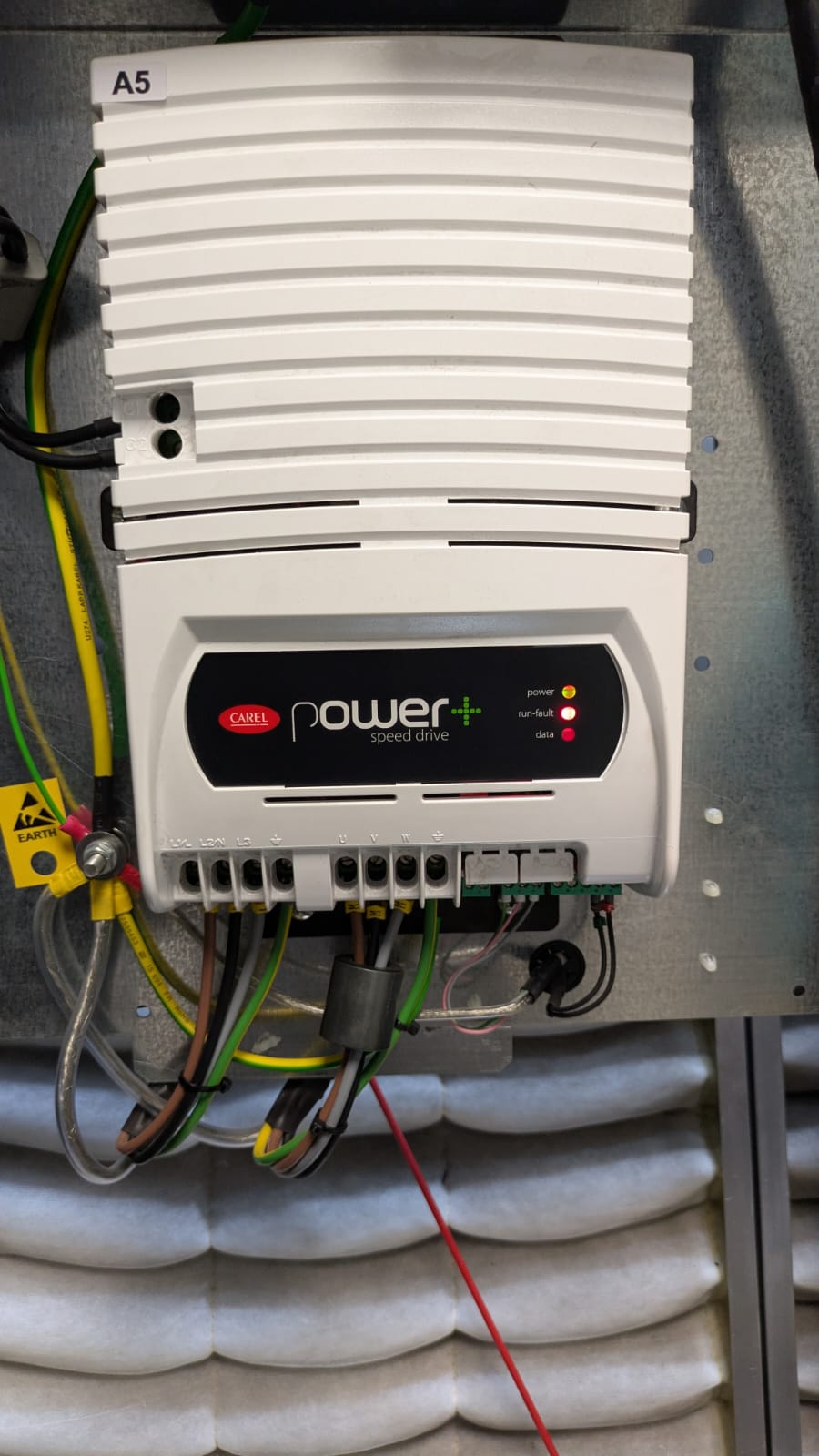 WhatsApp Image 2025-07-10 at 2.50.11 PM