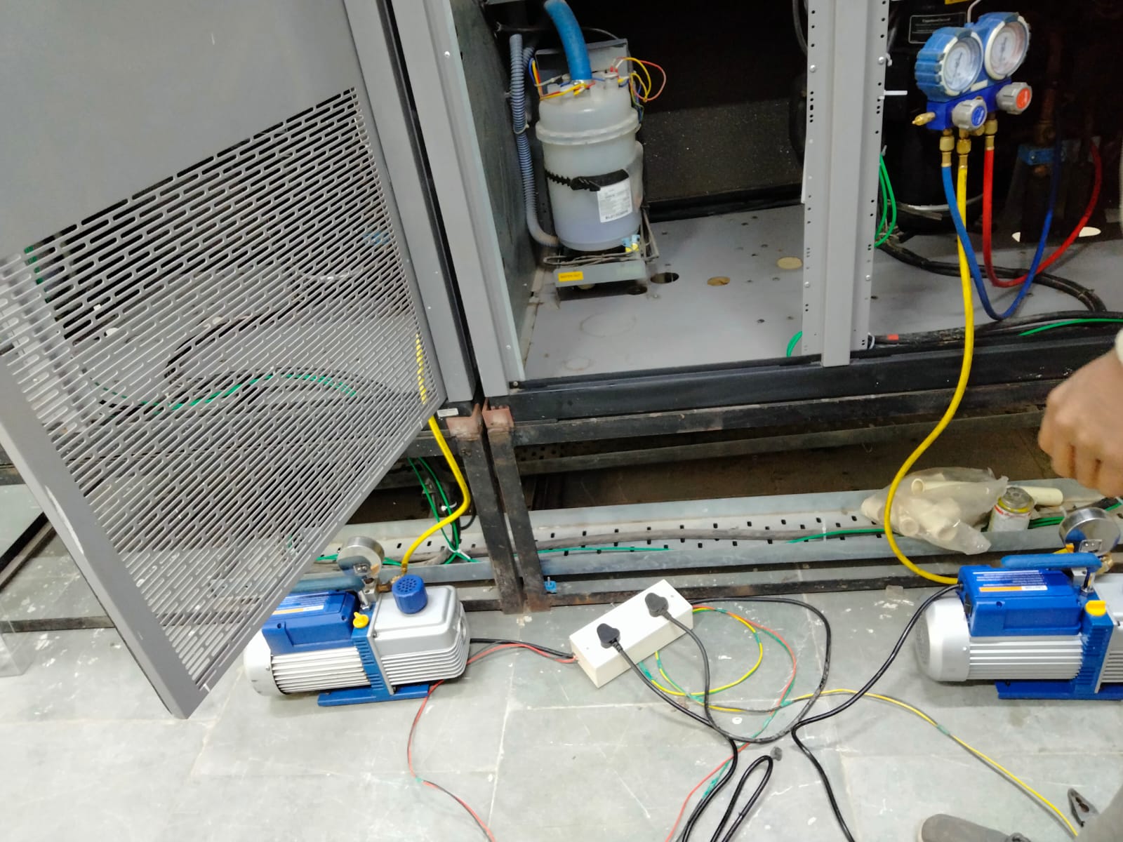 WhatsApp Image 2025-07-10 at 2.50.55 PM